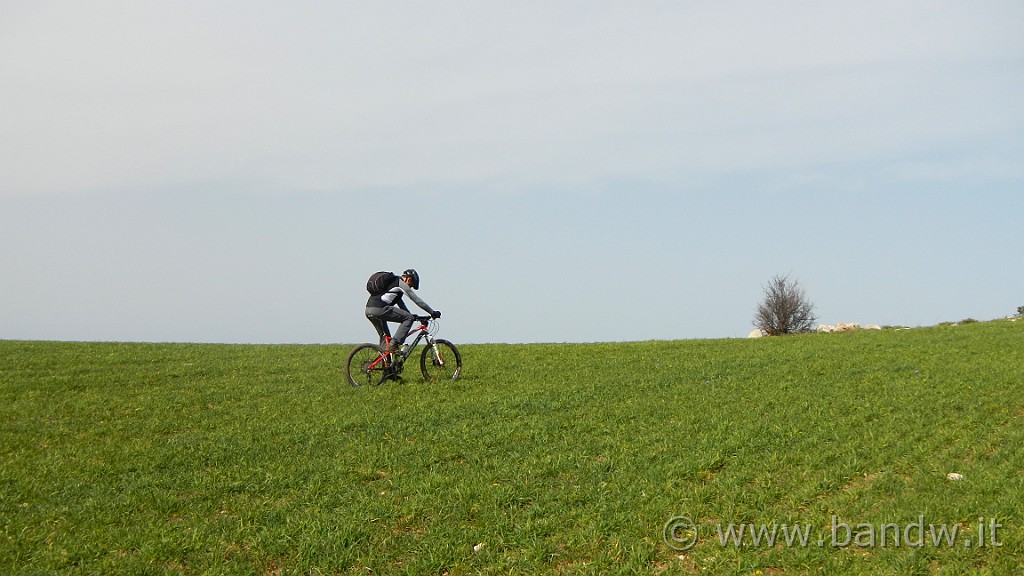 DSCN7810.JPG -                                