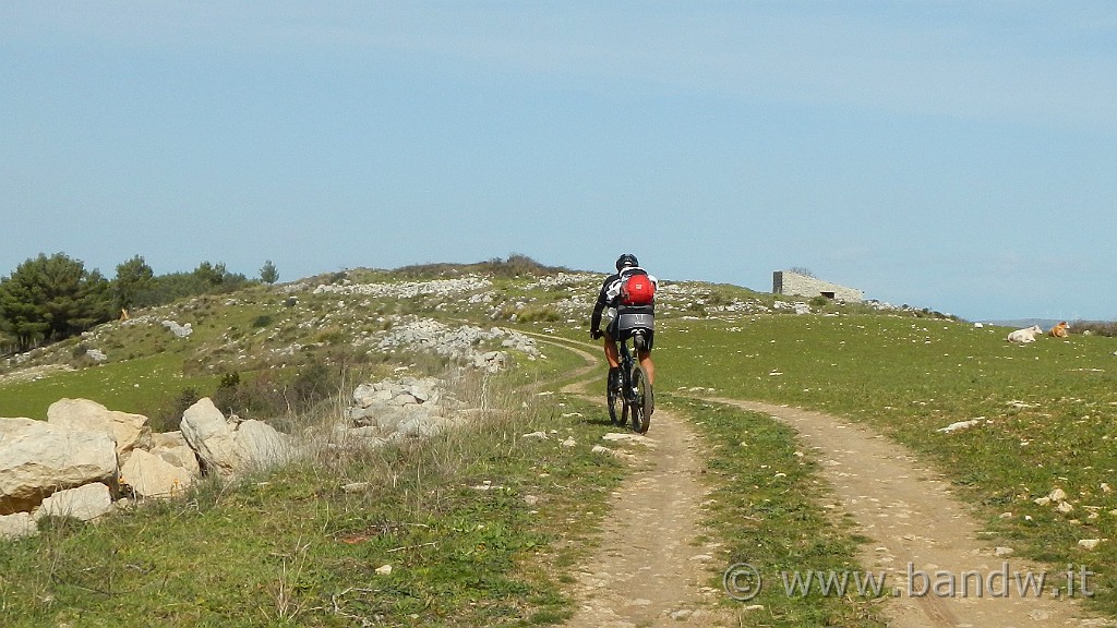DSCN7812.JPG -                                
