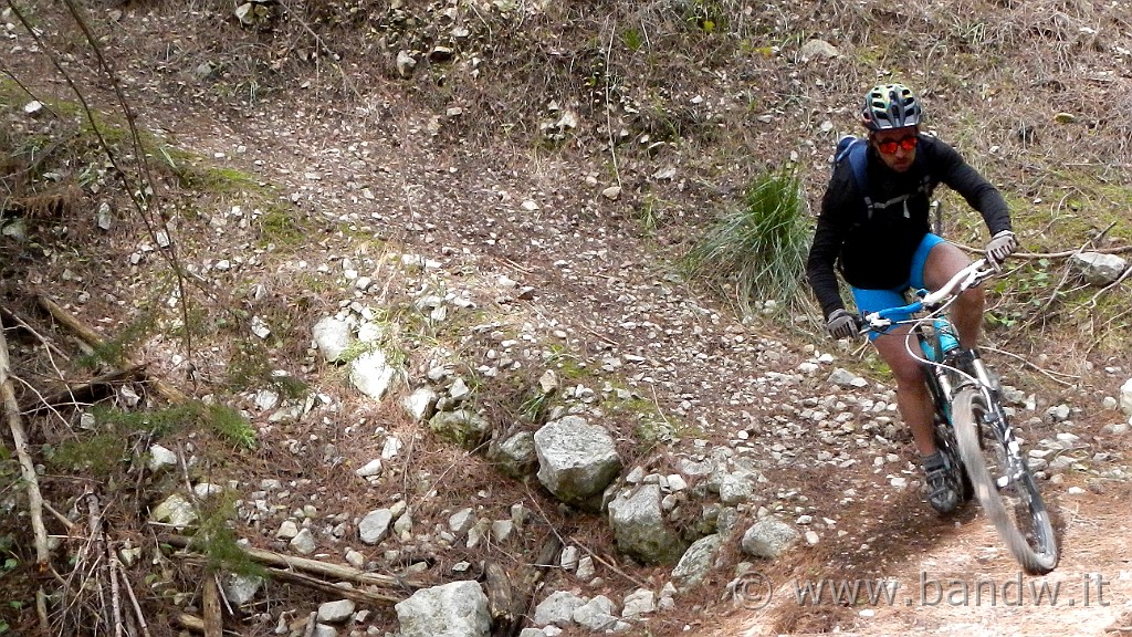 DSCN7819.JPG -                                