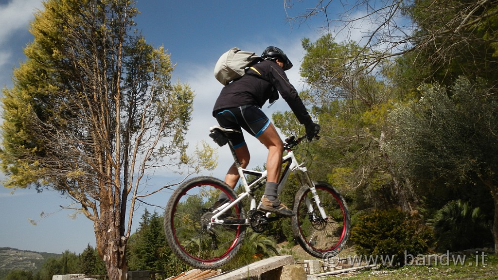 DSCN7828.JPG -                                
