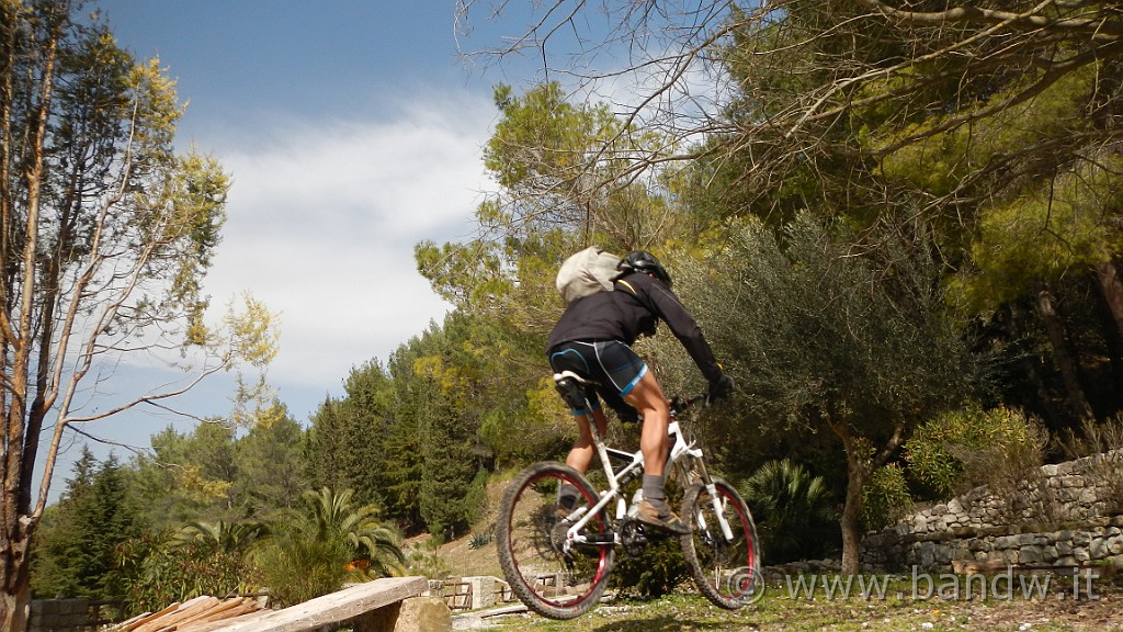 DSCN7830.JPG -                                
