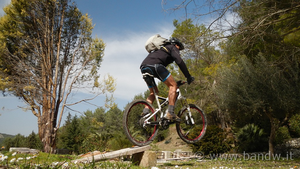 DSCN7831.JPG -                                