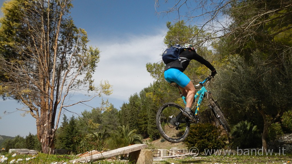 DSCN7832.JPG -                                