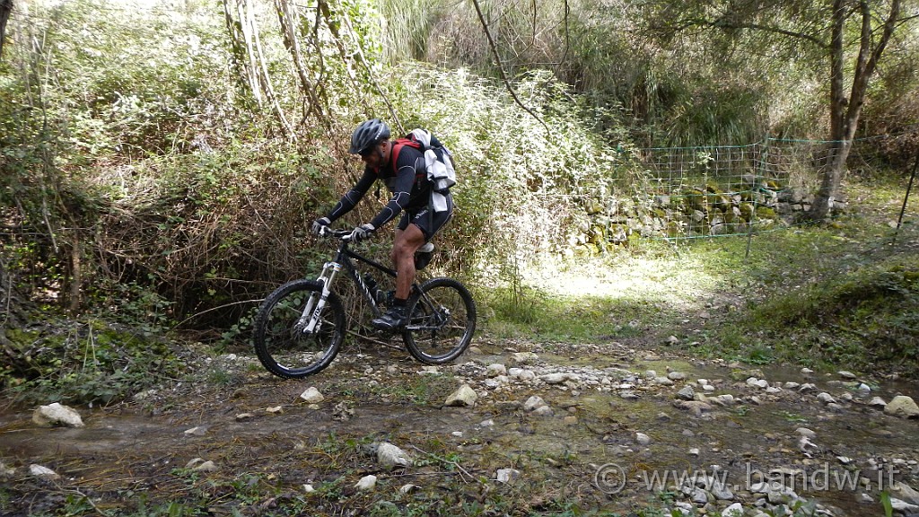DSCN7852.JPG -                                