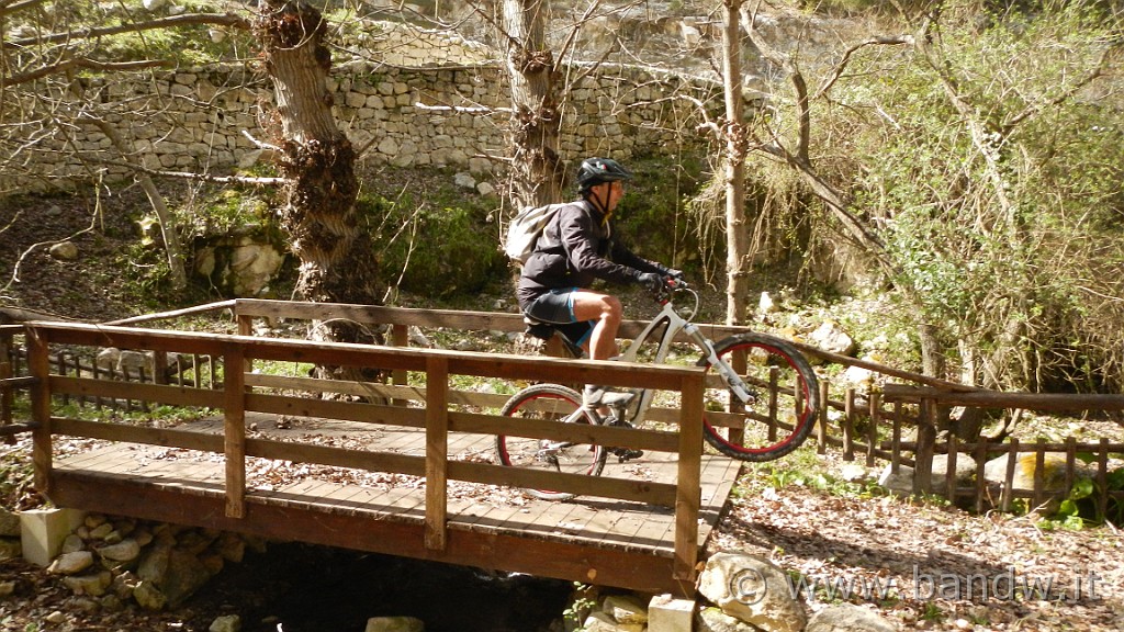 DSCN7854.JPG -                                
