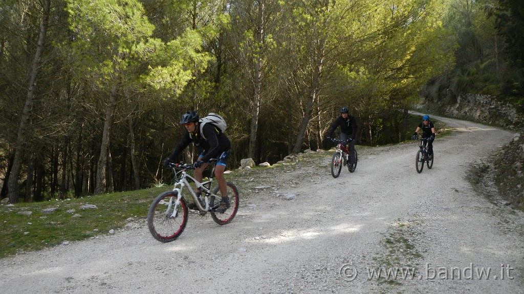 DSCN7856.JPG -                                
