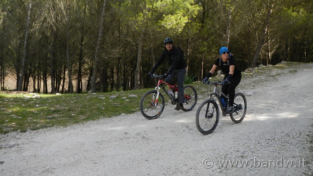 DSCN7858.JPG -                                