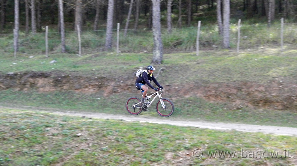 DSCN7859.JPG -                                