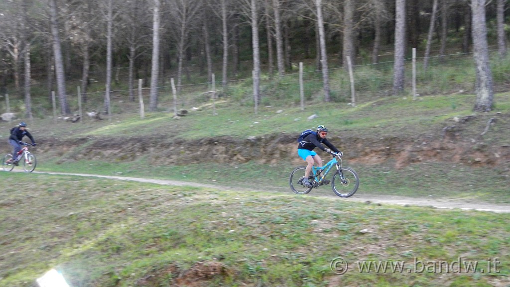 DSCN7860.JPG -                                