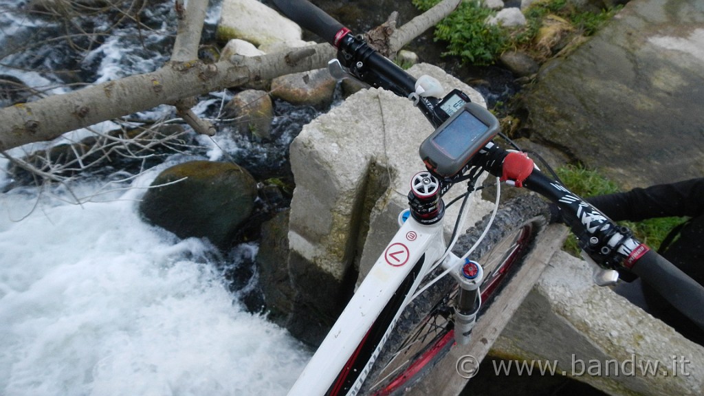 DSCN7862.JPG -                                