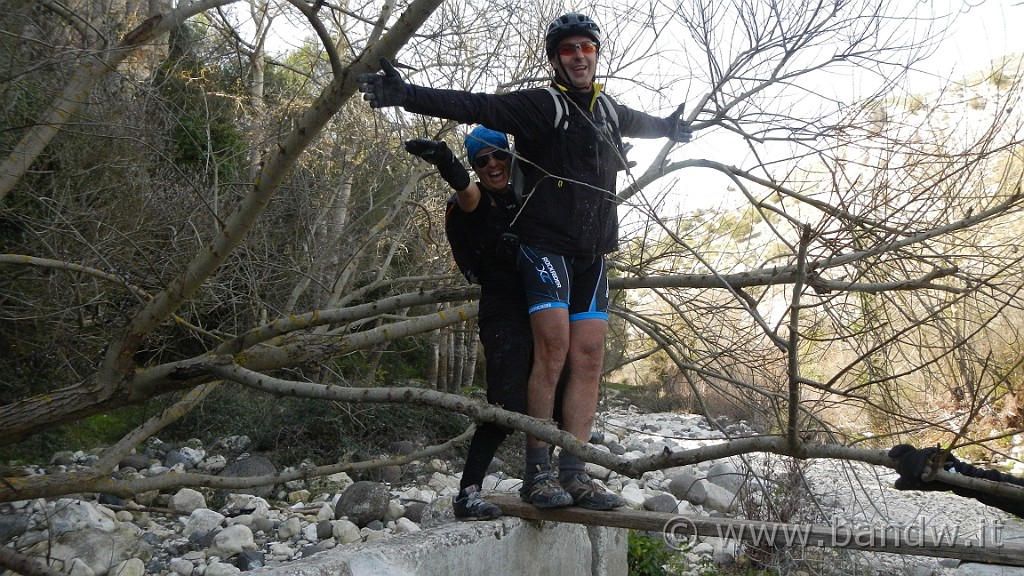 DSCN7866.JPG -                                