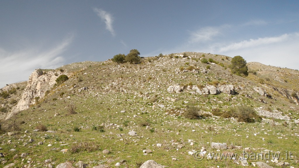 DSCN7870.JPG -                                
