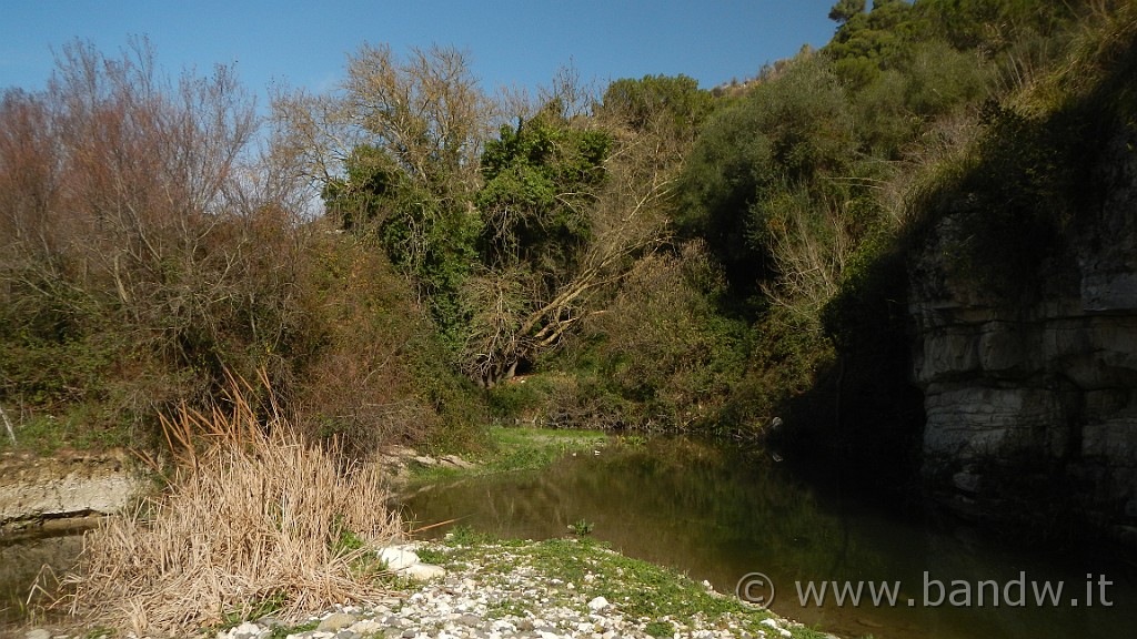 DSCN7876.JPG -                                
