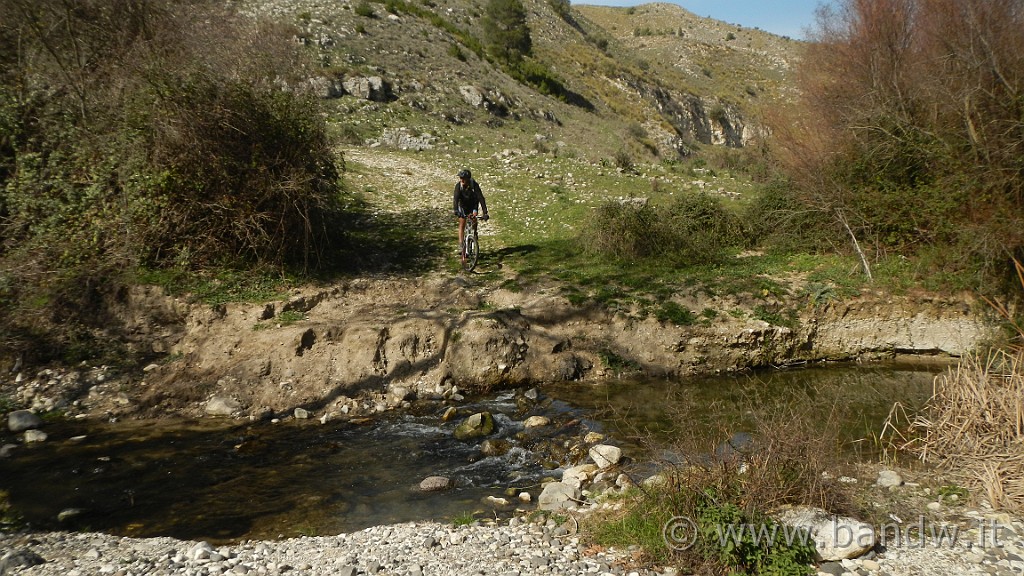 DSCN7877.JPG -                                