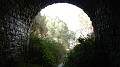 DSCN7783