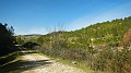 DSCN7785