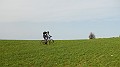 DSCN7810