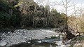 DSCN7869