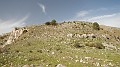 DSCN7870