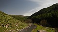 DSCN7883