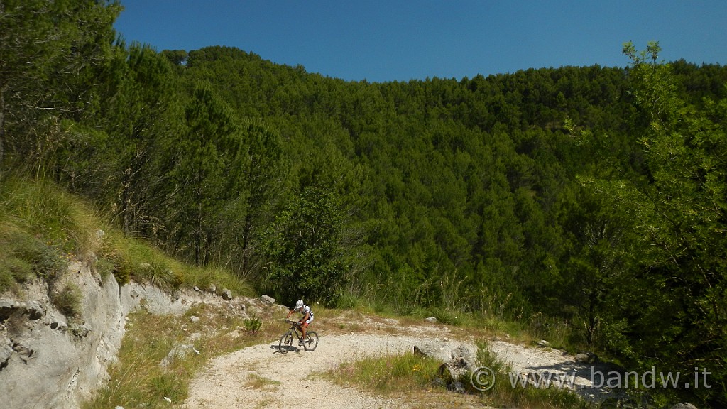 DSCN1229.JPG -                                