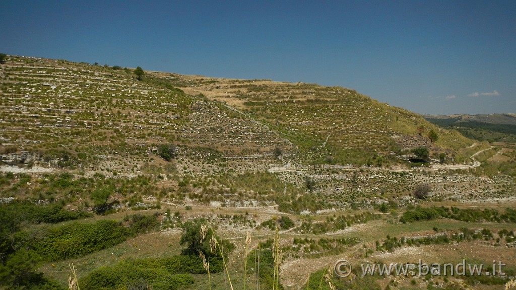 DSCN1236.JPG -                                