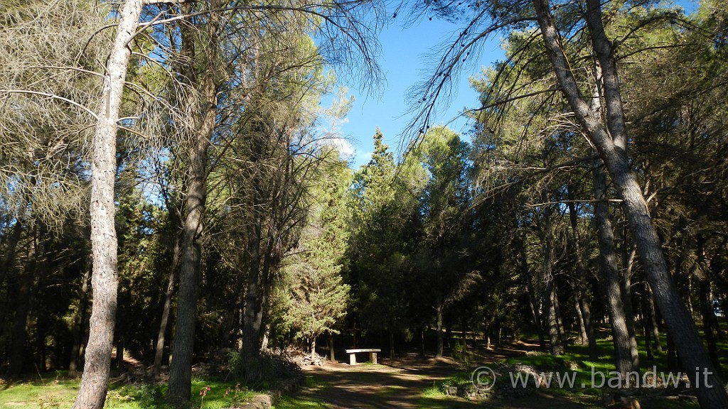 DSCN6763.JPG -                                