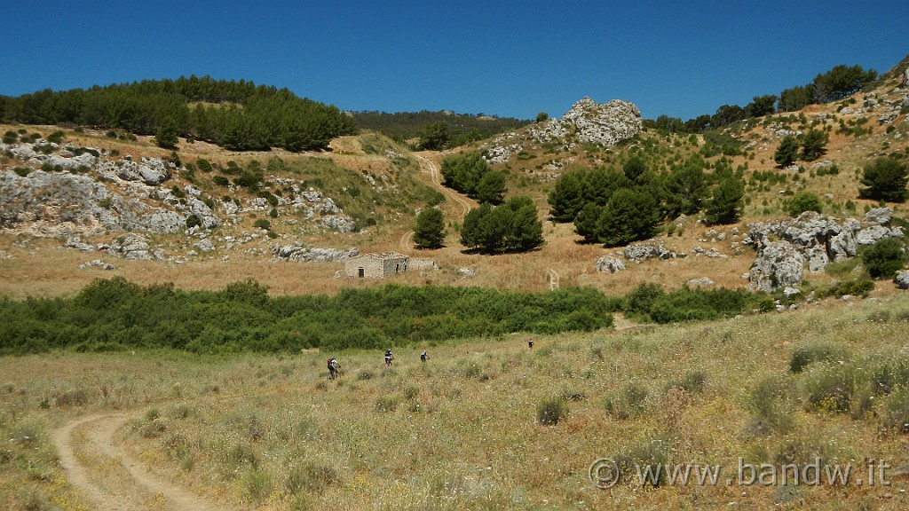 DSCN9546.JPG -                                