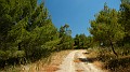 DSCN9556