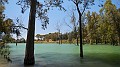 DSCN9557