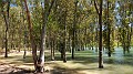 DSCN9558