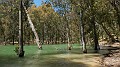 DSCN9559