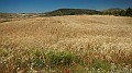 DSCN9592
