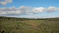DSCN6063