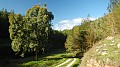DSCN6064