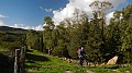 DSCN6068