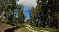 DSCN6096
