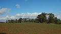 DSCN6098