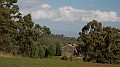 DSCN6099