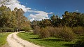 DSCN6104