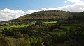 DSCN6106