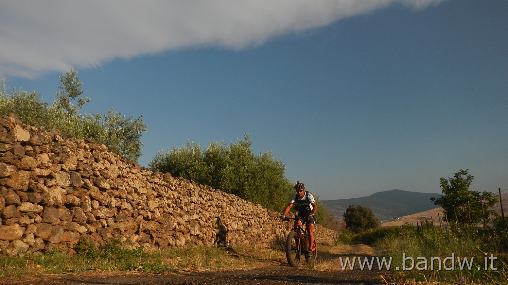 DSCN7434.JPG -                                