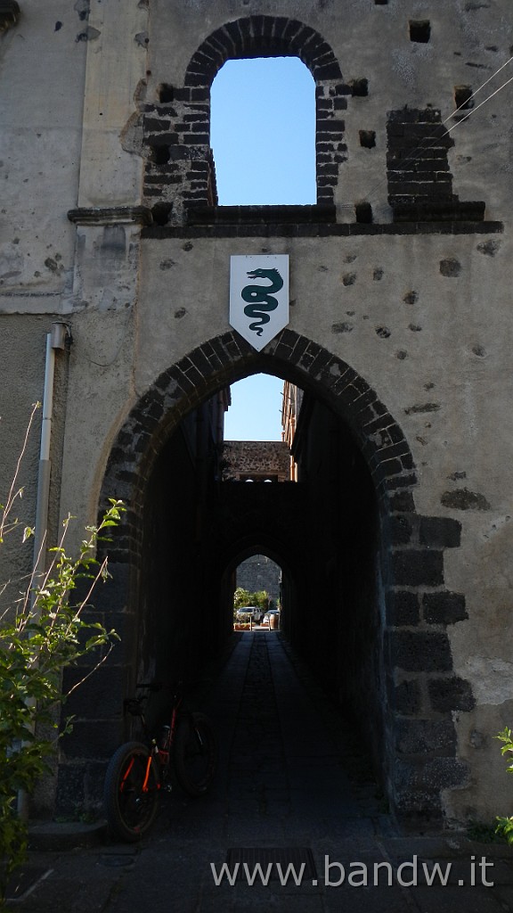 DSCN7439.JPG -                                
