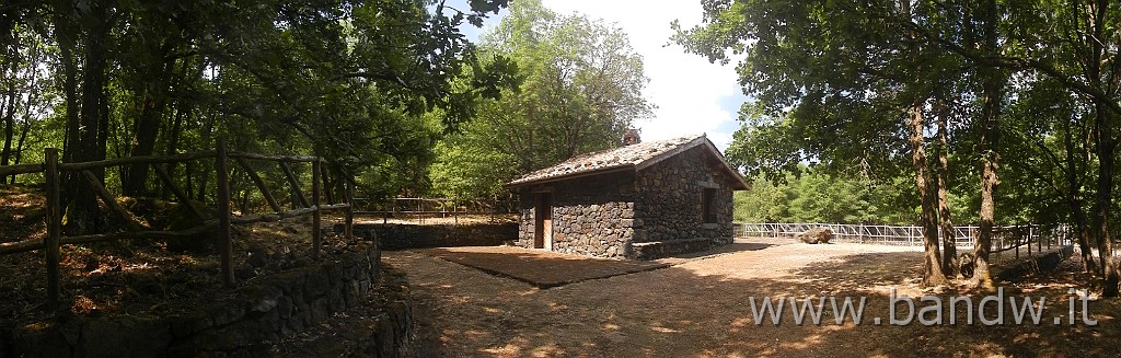 DSCN7450.JPG -                                