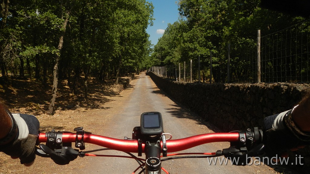 DSCN7453.JPG -                                