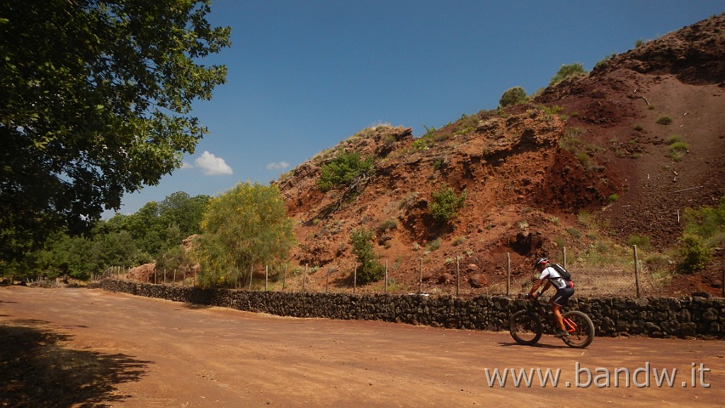 DSCN7454.JPG -                                
