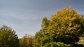 DSCN9942