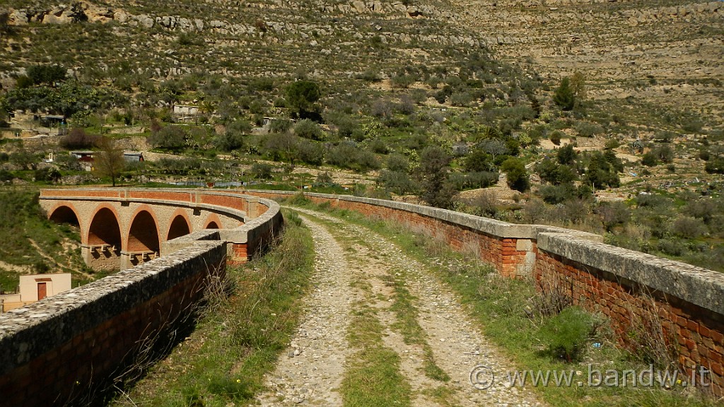 DSCN8325.JPG -                                