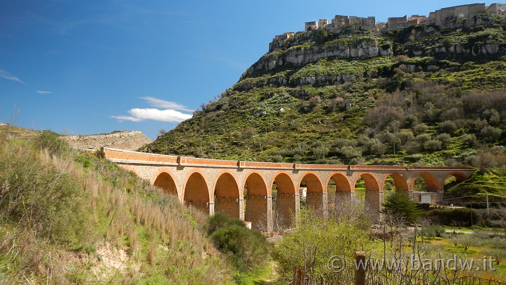 DSCN8326.JPG -                                
