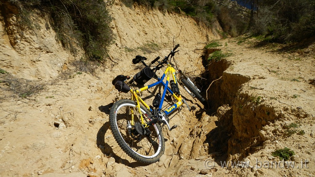 DSCN8327.JPG -                                